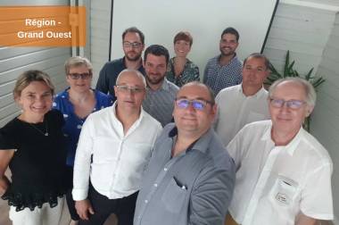 Duis aute irure dolor