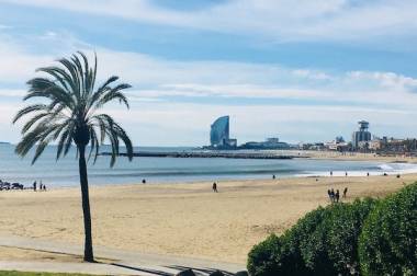 Duis aute irure dolor