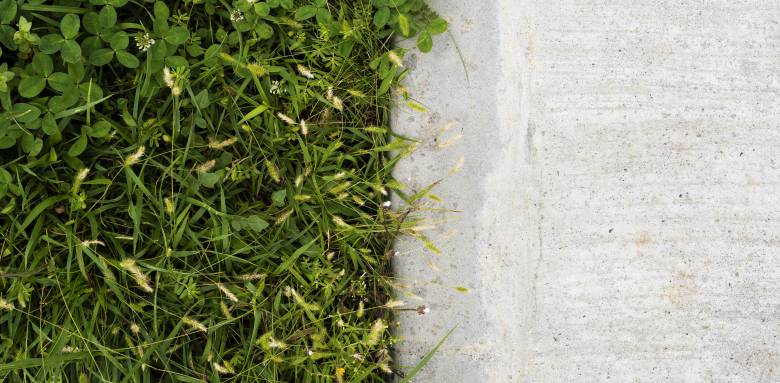 Création d'un mur végétal - Cholet 49