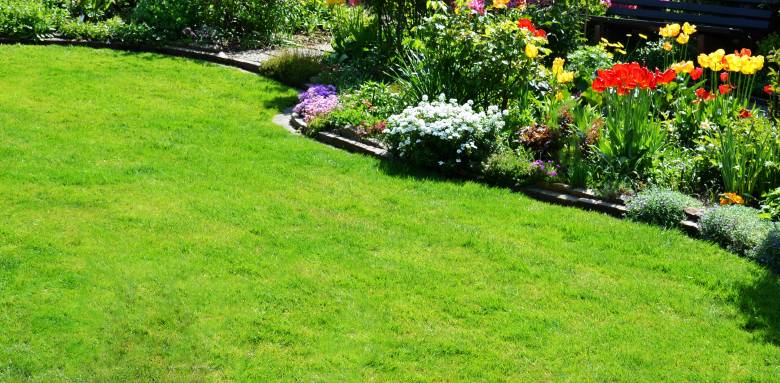 jardin en pente aménagement