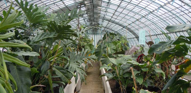 Restauration d’une serre de jardin