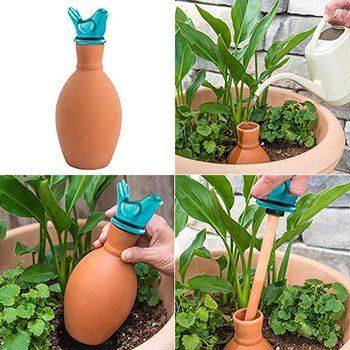 Oyas à planter