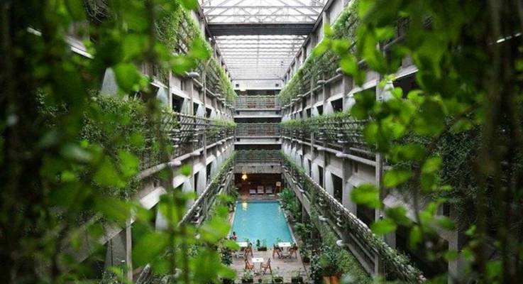Adopter le design biophilique dans son hôtel