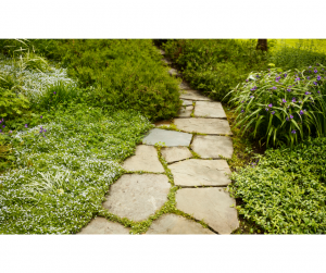 Matériaux allée de jardin Chenôve