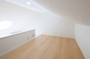 aménagement-extension de combles à Nevers 