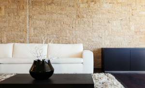 Un mur de salon en pierre près de Tours.