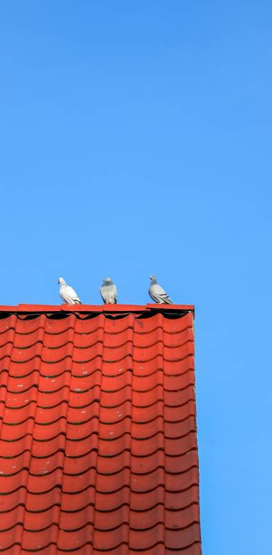 quand rénovation de toiture rime avec économie d'énergie