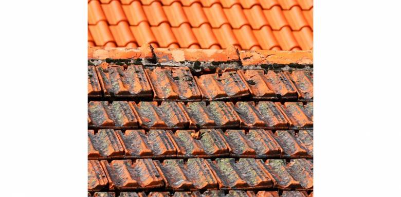 Rénovation partielle d'une toiture : préserver l’étanchéité et la durabilité - Marchésieux 50190