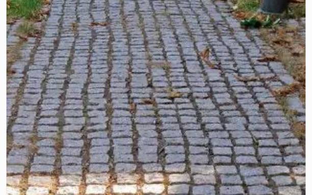 pavée pavés