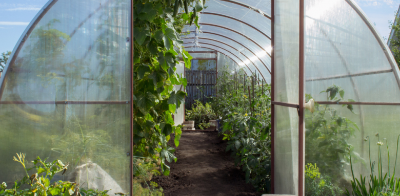 Serre de jardin Amiens