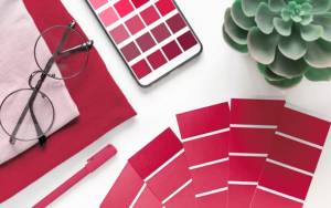 Palette Viva Magenta