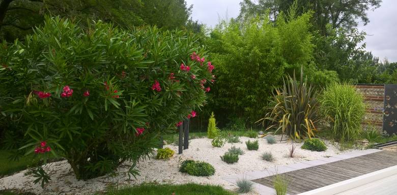 Créer un oasis végétal