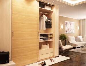 Création d'un dressing d'entrée - Cholet 49
