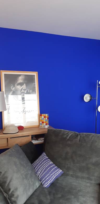 Salon Bleu Klein