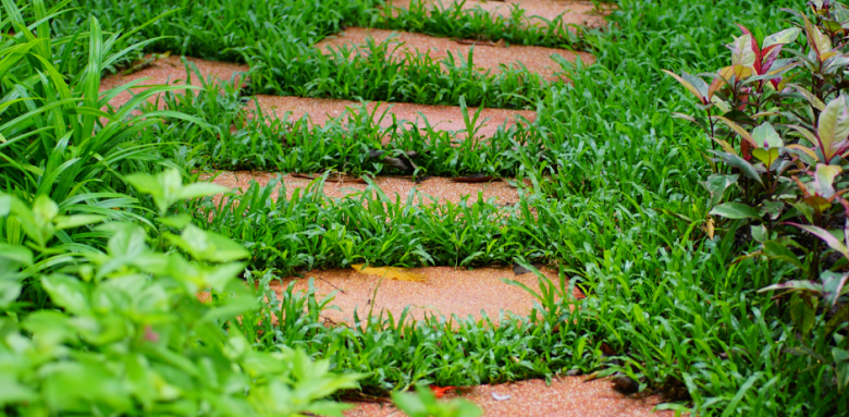 Une allée dans un jardin Haguenau