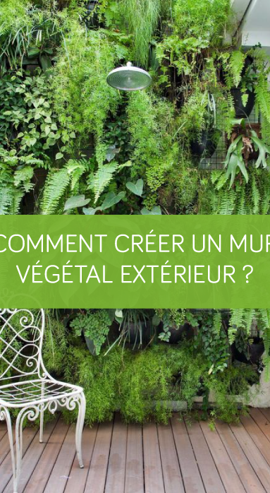 Comment créer un mur végétal extérieur ?