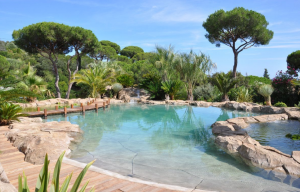 Créer une oasis - jardin