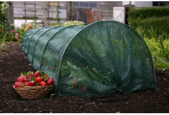 serre tunnel plastique film double