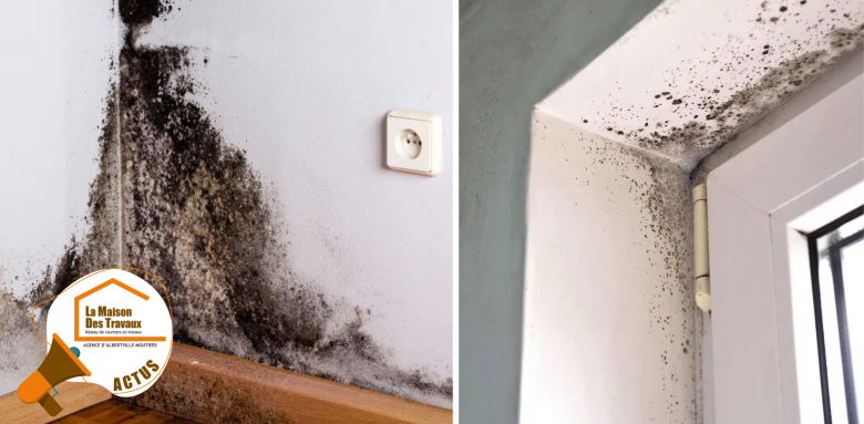 travaux isolation Savoie, point de rosée, conseils travaux, courtier en travaux Savoie, plaquiste 73, devis isolation