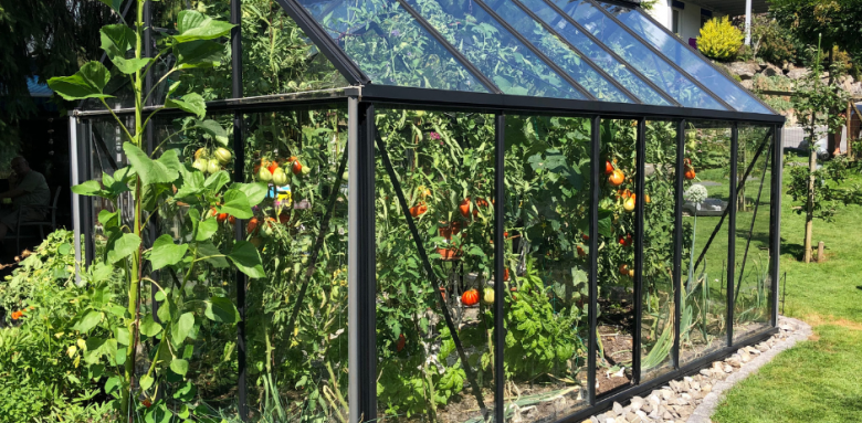 Rénover une serre de jardin à Chenôve