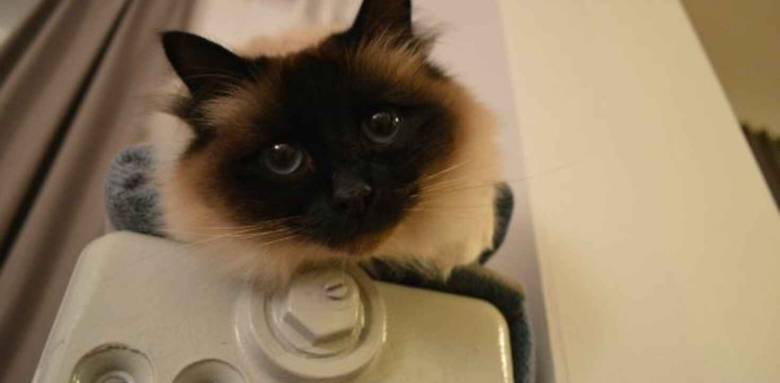 Choisir son mode de chauffage