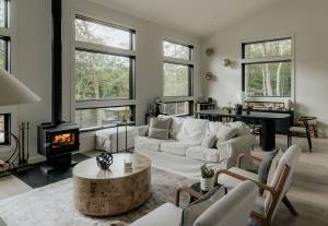 Guide complet : quel poele à bois choisir pour son logement