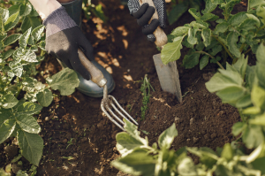 creer-potager-castres