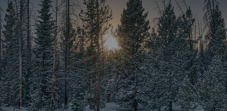 Rénovation énergétique