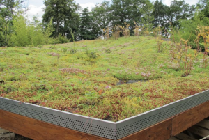 Toit végétalisé (photo Gamm Vert)