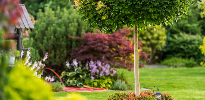 aménagement de jardin antibes