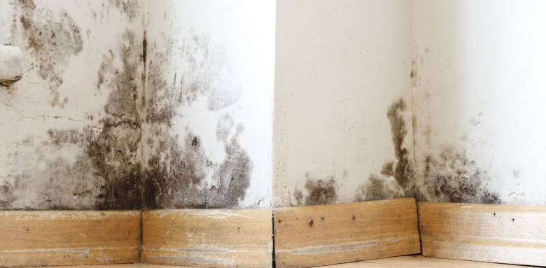 Rénovation intérieure