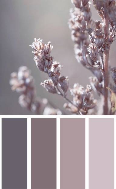 Nuances des teintes 2  pour un style shabby chic