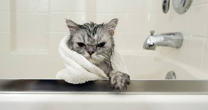 Combattre l'humidité pour un intérieur sain