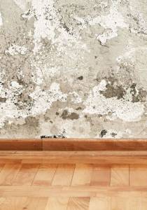 Remontées capillaire mur