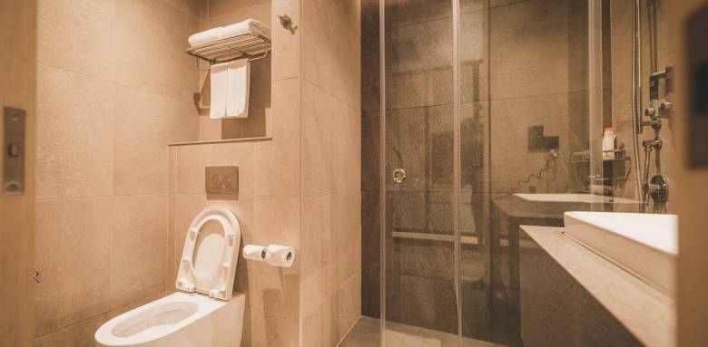 Les toilettes dans la salle de bain : nos conseils
