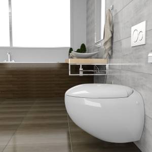 WC suspendue format oeuf