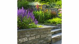 Escaladez les Possibilités : Les Avantages de l'Aménagement d'un Jardin en Pente – Coutances 50200