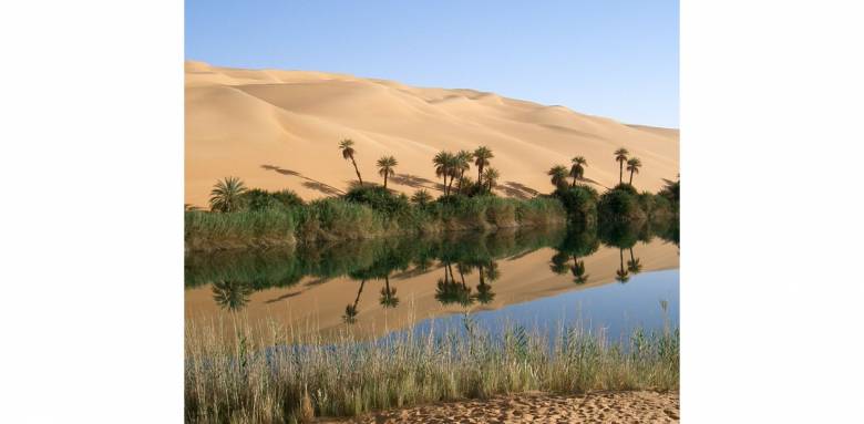 Créer une oasis dans son jardin - Saint-Aubin-des-Préaux 50380