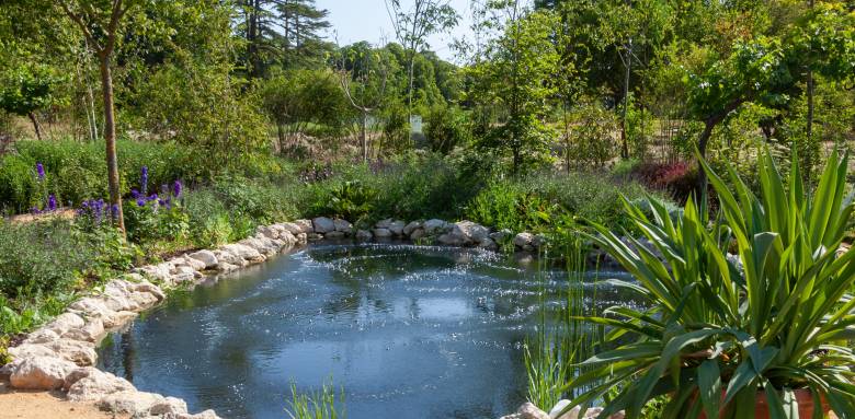 Une oasis en Indre-et-Loire.