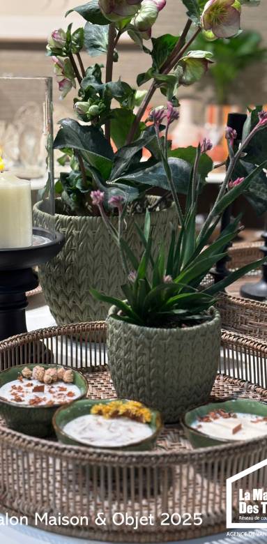 contrast modern ancien decoration