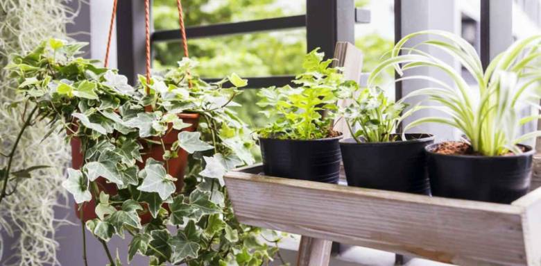 Installer un jardin d'hiver à Viry-Châtillon 