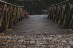 Travaux allée jardin Chantilly