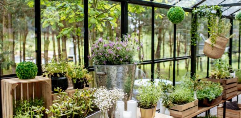 inspiration jardin d'hiver - M6 Déco