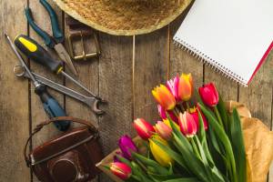 printemps et travaux