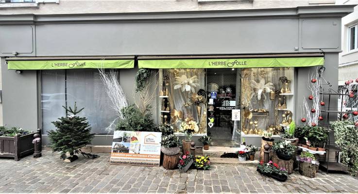 Ravalement de façade de devanture de boutique fleuriste - Brie-Comte-Robert 77170