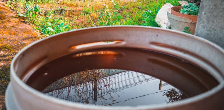 Récupérer l'eau de pluie pour l'arrosage