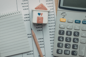Budget portail Poissy