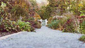 Allée de jardin : quels matériaux choisir ?