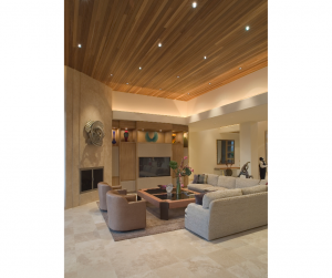 Salon avec un faux plafond en bois Lyon