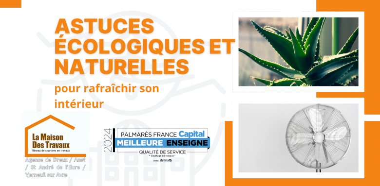 Adoptez des astuces écologiques à Dreux pour rafraîchir votre intérieur naturellement avec des plantes et une ventilation adaptée.
